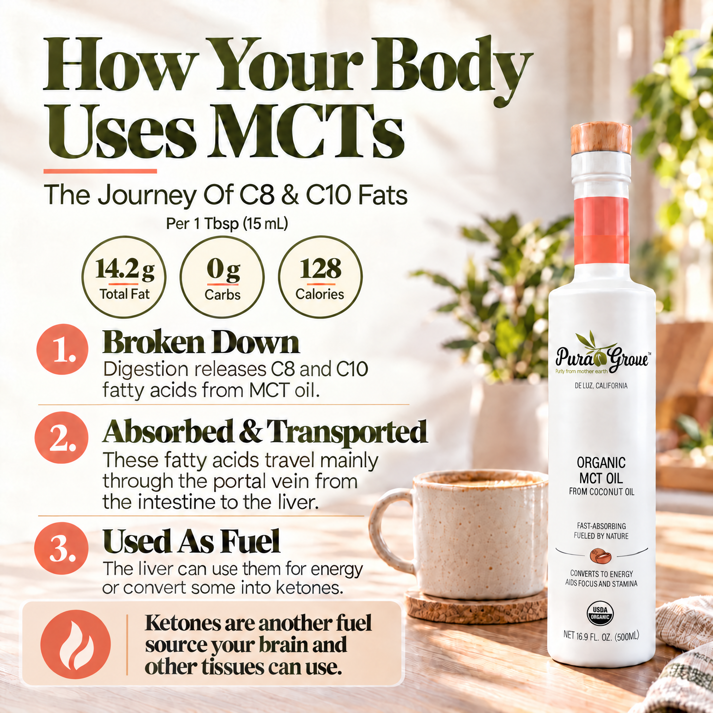 Organic MCT Oil - From Coconut Oil, C8 & C10, 16.9 fl oz