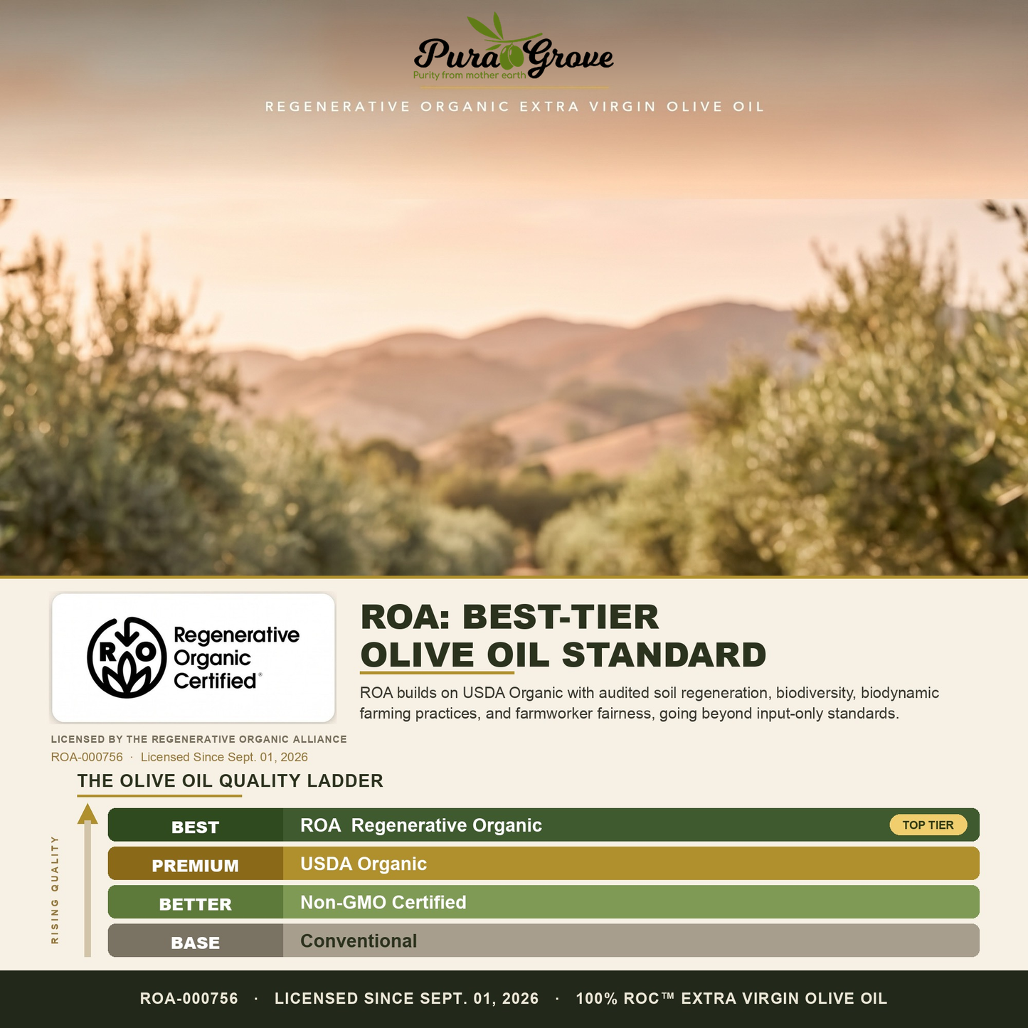 Premium Organic Extra Virgin Olive Oil